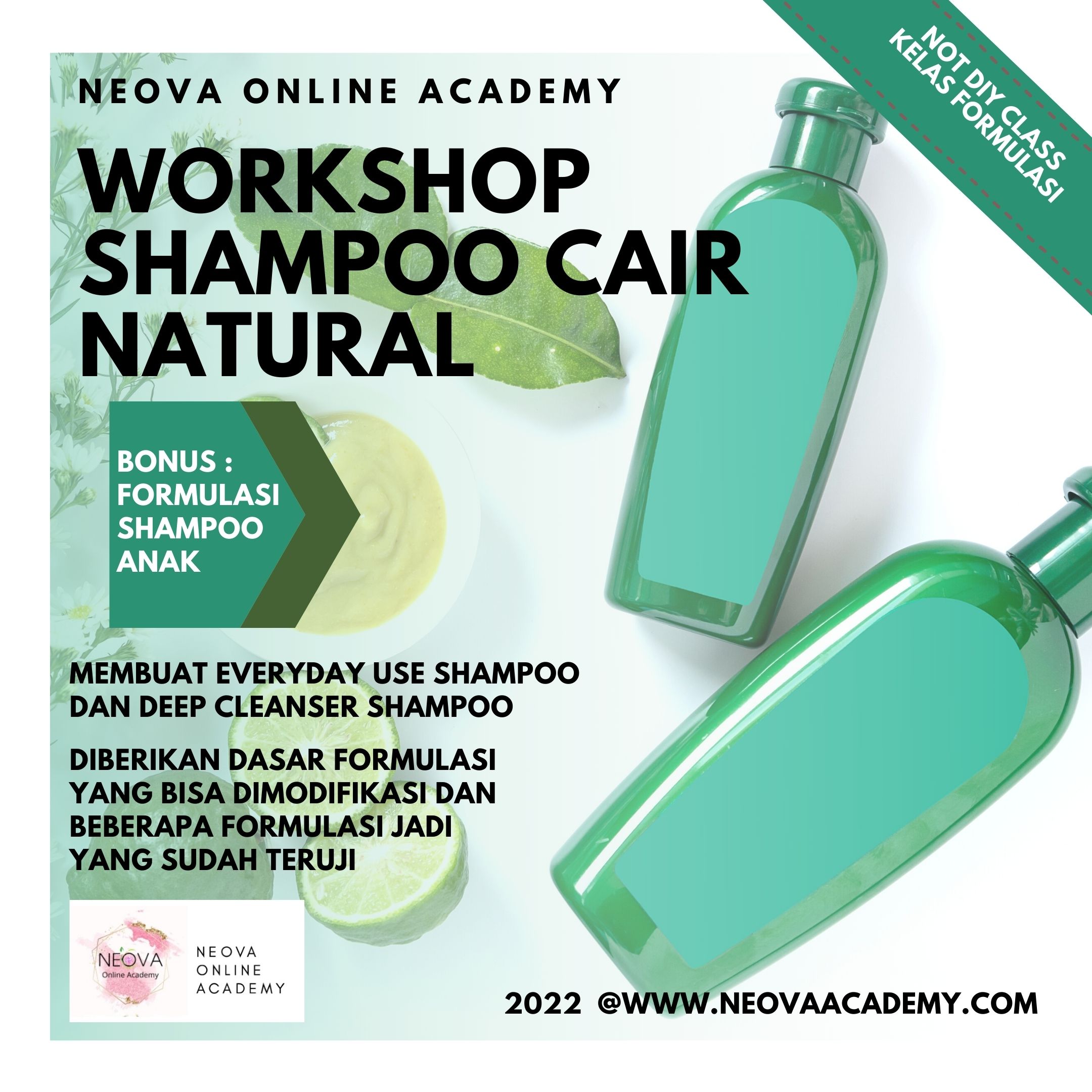 Workshop Shampoo Cair Natural